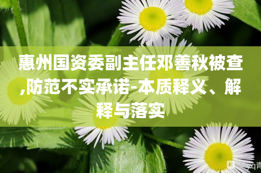 惠州國(guó)資委副主任鄧善秋被查,防范不實(shí)承諾-本質(zhì)釋義、解釋與落實(shí)
