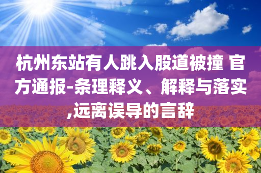 杭州東站有人跳入股道被撞 官方通報-條理釋義、解釋與落實,遠離誤導的言辭
