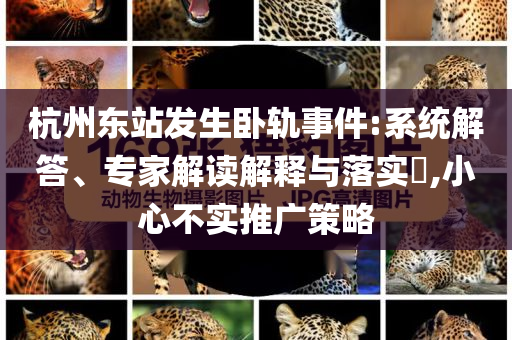 杭州東站發(fā)生臥軌事件:系統(tǒng)解答、專家解讀解釋與落實(shí)?,小心不實(shí)推廣策略