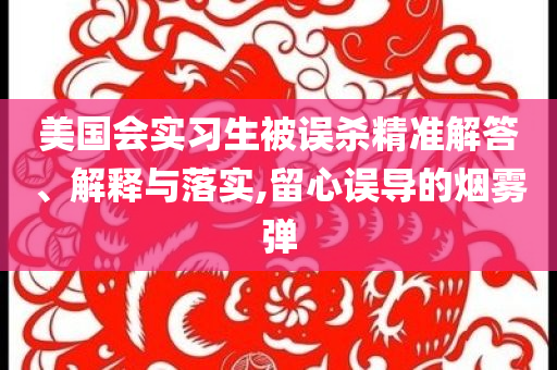 美國會(huì)實(shí)習(xí)生被誤殺精準(zhǔn)解答、解釋與落實(shí),留心誤導(dǎo)的煙霧彈