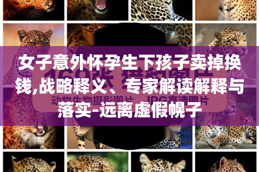 女子意外懷孕生下孩子賣掉換錢,戰(zhàn)略釋義、專家解讀解釋與落實(shí)-遠(yuǎn)離虛假幌子