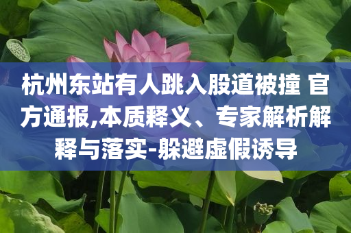 杭州東站有人跳入股道被撞 官方通報(bào),本質(zhì)釋義、專(zhuān)家解析解釋與落實(shí)-躲避虛假誘導(dǎo)