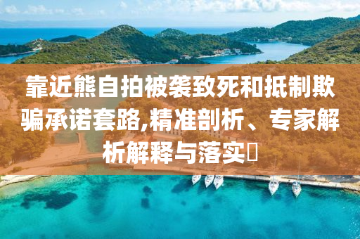 靠近熊自拍被襲致死和抵制欺騙承諾套路,精準(zhǔn)剖析、專(zhuān)家解析解釋與落實(shí)?
