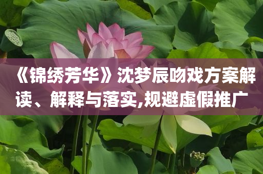 《錦繡芳華》沈夢(mèng)辰吻戲方案解讀、解釋與落實(shí),規(guī)避虛假推廣