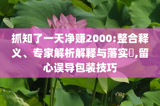 抓知了一天凈賺2000:整合釋義、專家解析解釋與落實(shí)?,留心誤導(dǎo)包裝技巧