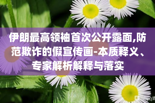 伊朗最高領(lǐng)袖首次公開露面,防范欺詐的假宣傳畫-本質(zhì)釋義、專家解析解釋與落實(shí)