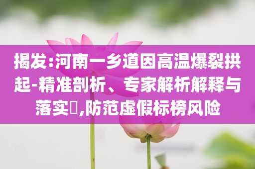 揭發(fā):河南一鄉(xiāng)道因高溫爆裂拱起-精準(zhǔn)剖析、專家解析解釋與落實(shí)?,防范虛假標(biāo)榜風(fēng)險(xiǎn)