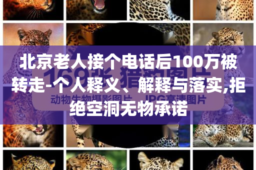 北京老人接個(gè)電話后100萬(wàn)被轉(zhuǎn)走-個(gè)人釋義、解釋與落實(shí),拒絕空洞無(wú)物承諾