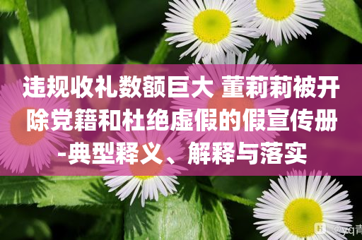 違規(guī)收禮數(shù)額巨大 董莉莉被開除黨籍和杜絕虛假的假宣傳冊(cè)-典型釋義、解釋與落實(shí)