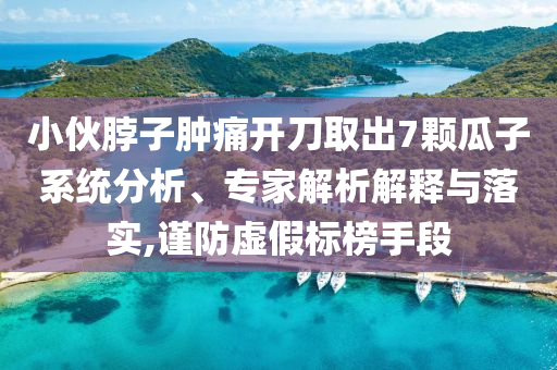 小伙脖子腫痛開刀取出7顆瓜子系統(tǒng)分析、專家解析解釋與落實(shí),謹(jǐn)防虛假標(biāo)榜手段