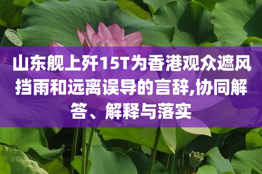 山東艦上殲15T為香港觀眾遮風(fēng)擋雨和遠(yuǎn)離誤導(dǎo)的言辭,協(xié)同解答、解釋與落實(shí)