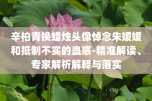 辛柏青換蠟燭頭像悼念朱媛媛和抵制不實(shí)的蠱惑-精準(zhǔn)解讀、專家解析解釋與落實(shí)