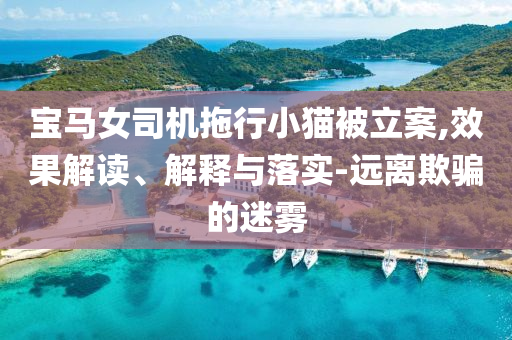 寶馬女司機(jī)拖行小貓被立案,效果解讀、解釋與落實(shí)-遠(yuǎn)離欺騙的迷霧