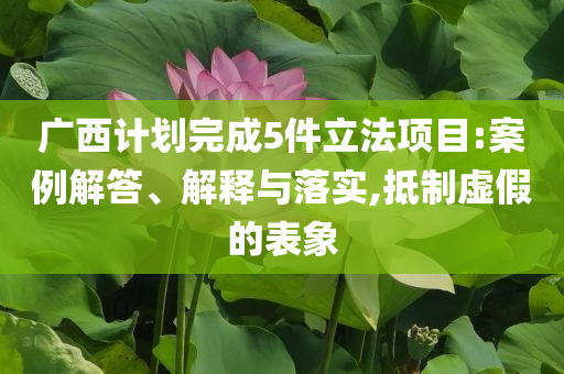 廣西計(jì)劃完成5件立法項(xiàng)目:案例解答、解釋與落實(shí),抵制虛假的表象