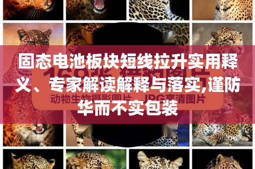 固態(tài)電池板塊短線拉升實用釋義、專家解讀解釋與落實,謹防華而不實包裝