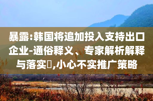 暴露:韓國(guó)將追加投入支持出口企業(yè)-通俗釋義、專(zhuān)家解析解釋與落實(shí)?,小心不實(shí)推廣策略