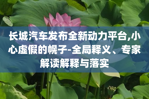 長(zhǎng)城汽車(chē)發(fā)布全新動(dòng)力平臺(tái),小心虛假的幌子-全局釋義、專(zhuān)家解讀解釋與落實(shí)