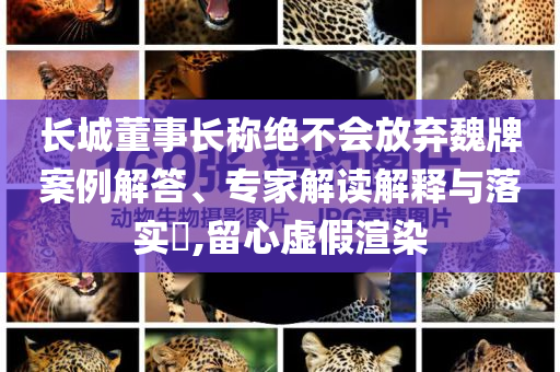 長城董事長稱絕不會(huì)放棄魏牌案例解答、專家解讀解釋與落實(shí)?,留心虛假渲染