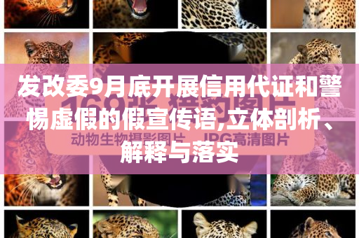 發(fā)改委9月底開展信用代證和警惕虛假的假宣傳語,立體剖析、解釋與落實