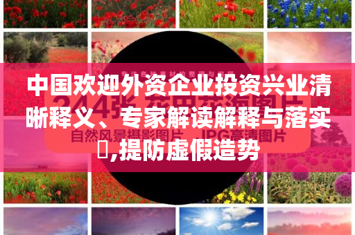 中國歡迎外資企業(yè)投資興業(yè)清晰釋義、專家解讀解釋與落實?,提防虛假造勢