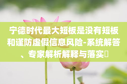 寧德時代最大短板是沒有短板和謹防虛假信息風險-系統(tǒng)解答、專家解析解釋與落實?
