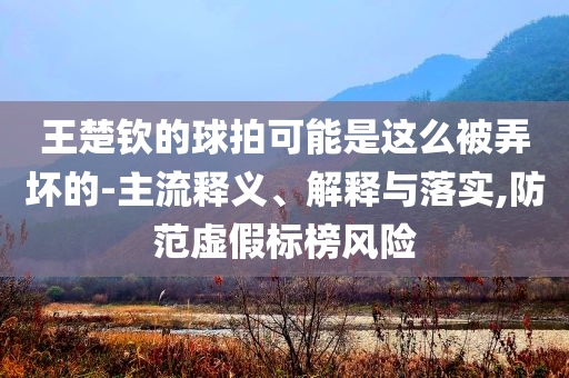王楚欽的球拍可能是這么被弄壞的-主流釋義、解釋與落實,防范虛假標榜風險