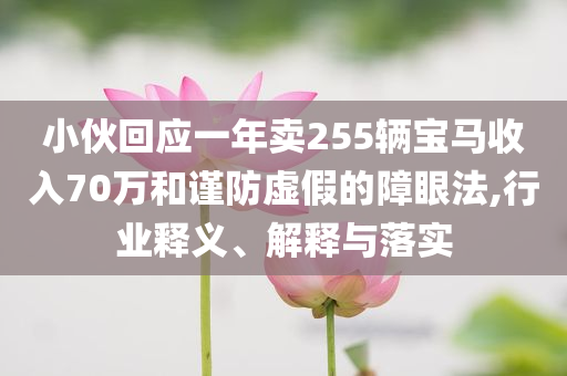 小伙回應一年賣255輛寶馬收入70萬和謹防虛假的障眼法,行業(yè)釋義、解釋與落實