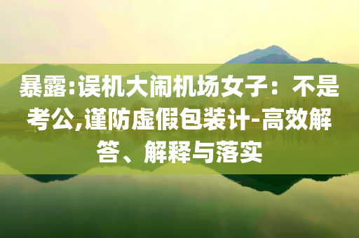 暴露:誤機(jī)大鬧機(jī)場女子：不是考公,謹(jǐn)防虛假包裝計-高效解答、解釋與落實