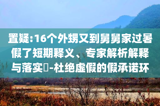 置疑:16個(gè)外甥又到舅舅家過暑假了短期釋義、專家解析解釋與落實(shí)?-杜絕虛假的假承諾環(huán)