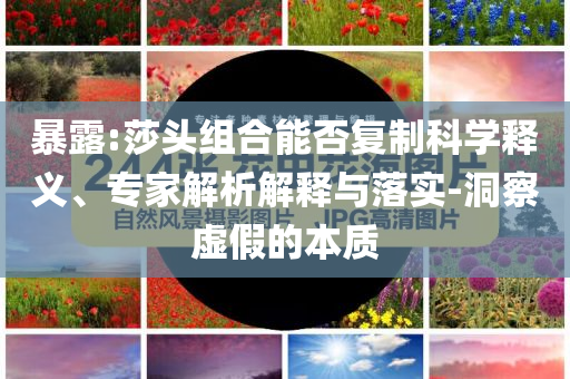 暴露:莎頭組合能否復(fù)制科學(xué)釋義、專(zhuān)家解析解釋與落實(shí)-洞察虛假的本質(zhì)
