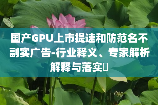 國產(chǎn)GPU上市提速和防范名不副實(shí)廣告-行業(yè)釋義、專家解析解釋與落實(shí)?