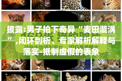 披露:男子拍下奇異“麥田漩渦”,閉環(huán)剖析、專(zhuān)家解析解釋與落實(shí)-抵制虛假的表象
