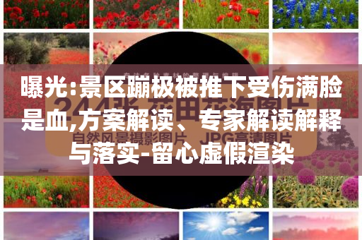 曝光:景區(qū)蹦極被推下受傷滿臉是血,方案解讀、專家解讀解釋與落實-留心虛假渲染