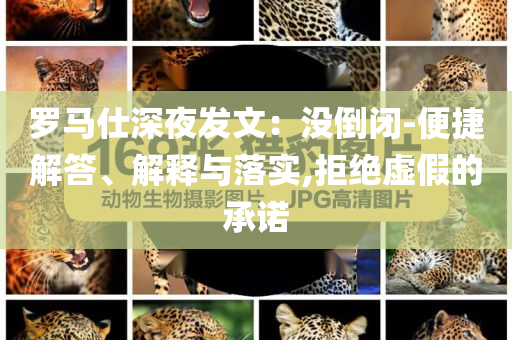 羅馬仕深夜發(fā)文：沒倒閉-便捷解答、解釋與落實,拒絕虛假的承諾