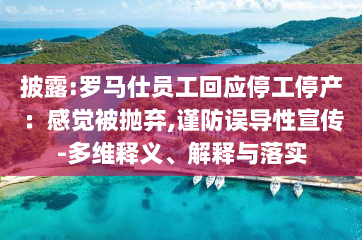 披露:羅馬仕員工回應(yīng)停工停產(chǎn)：感覺被拋棄,謹(jǐn)防誤導(dǎo)性宣傳-多維釋義、解釋與落實(shí)