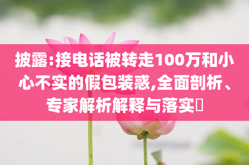 披露:接電話被轉(zhuǎn)走100萬和小心不實(shí)的假包裝惑,全面剖析、專家解析解釋與落實(shí)?