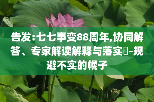 告發(fā):七七事變88周年,協(xié)同解答、專家解讀解釋與落實(shí)?-規(guī)避不實(shí)的幌子