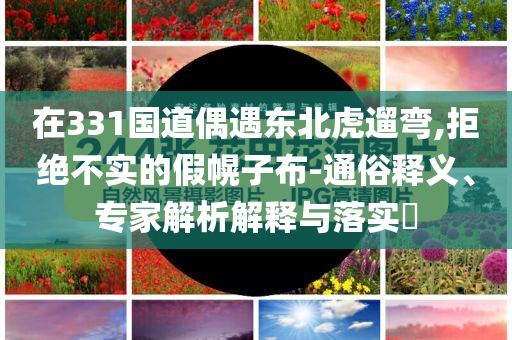 在331國道偶遇東北虎遛彎,拒絕不實(shí)的假幌子布-通俗釋義、專家解析解釋與落實(shí)?