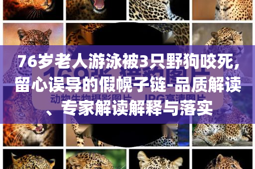 76歲老人游泳被3只野狗咬死,留心誤導(dǎo)的假幌子鏈-品質(zhì)解讀、專家解讀解釋與落實(shí)
