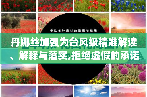 丹娜絲加強(qiáng)為臺(tái)風(fēng)級(jí)精準(zhǔn)解讀、解釋與落實(shí),拒絕虛假的承諾