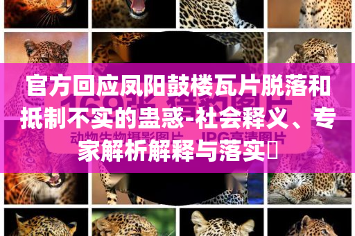 官方回應(yīng)鳳陽(yáng)鼓樓瓦片脫落和抵制不實(shí)的蠱惑-社會(huì)釋義、專(zhuān)家解析解釋與落實(shí)?