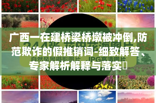 廣西一在建橋梁橋墩被沖倒,防范欺詐的假推銷詞-細(xì)致解答、專家解析解釋與落實(shí)?