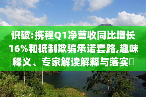 識(shí)破:攜程Q1凈營收同比增長16%和抵制欺騙承諾套路,趣味釋義、專家解讀解釋與落實(shí)?
