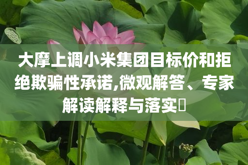 大摩上調(diào)小米集團(tuán)目標(biāo)價(jià)和拒絕欺騙性承諾,微觀(guān)解答、專(zhuān)家解讀解釋與落實(shí)?