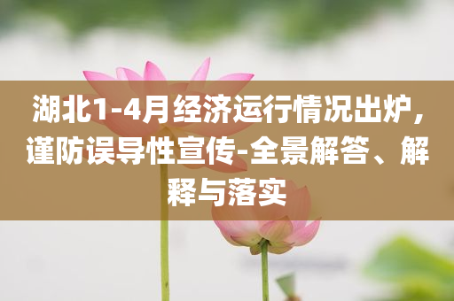 湖北1-4月經(jīng)濟(jì)運(yùn)行情況出爐,謹(jǐn)防誤導(dǎo)性宣傳-全景解答、解釋與落實(shí)