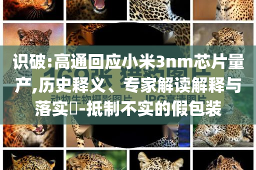 識(shí)破:高通回應(yīng)小米3nm芯片量產(chǎn),歷史釋義、專(zhuān)家解讀解釋與落實(shí)?-抵制不實(shí)的假包裝