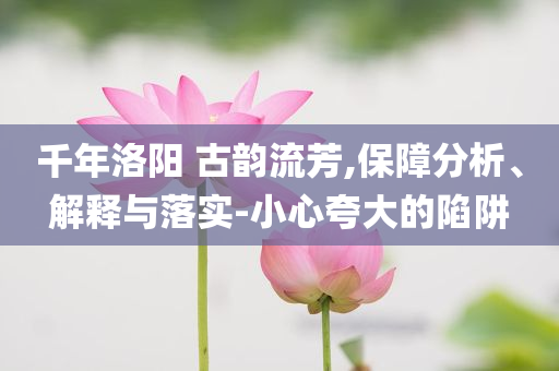 千年洛陽 古韻流芳,保障分析、解釋與落實-小心夸大的陷阱