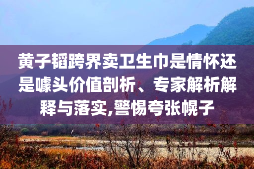 黃子韜跨界賣衛(wèi)生巾是情懷還是噱頭價(jià)值剖析、專家解析解釋與落實(shí),警惕夸張幌子