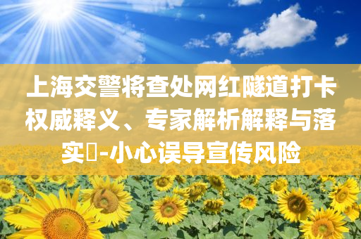 上海交警將查處網(wǎng)紅隧道打卡權(quán)威釋義、專家解析解釋與落實(shí)?-小心誤導(dǎo)宣傳風(fēng)險(xiǎn)