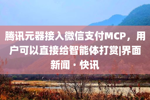 騰訊元器接入微信支付MCP，用戶可以直接給智能體打賞|界面新聞 · 快訊